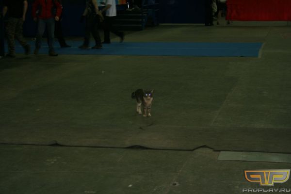 ��� �� ����� ����� �������