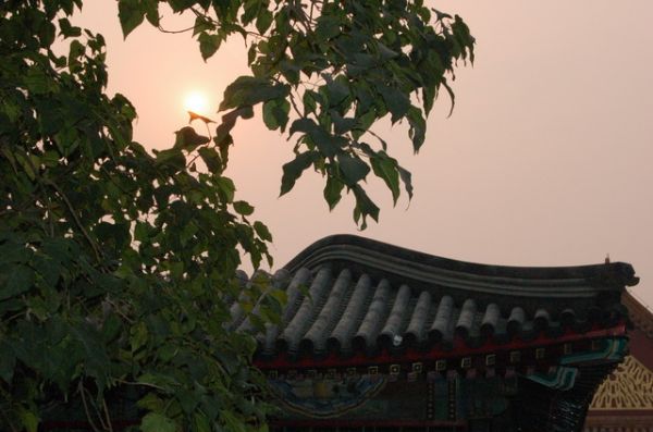 ���� ����������� ��������.