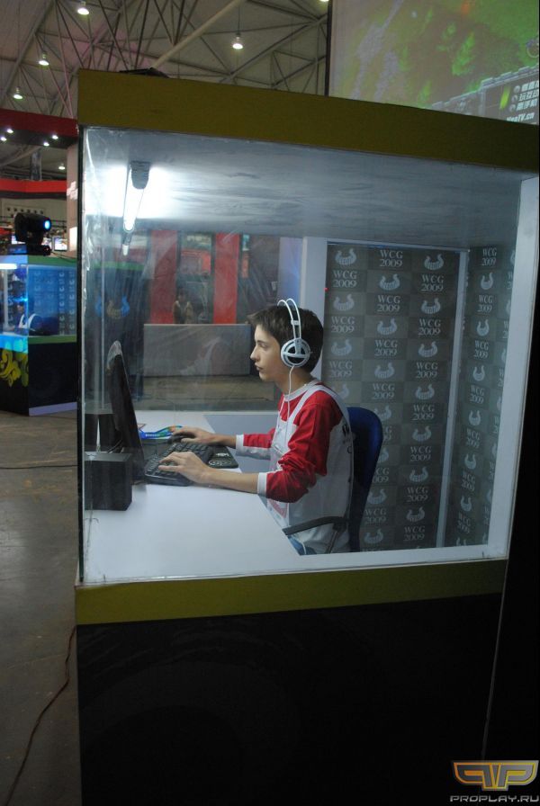 Bly ������ �� ����� ����� ������ ������� ������� ������� - Fly'a