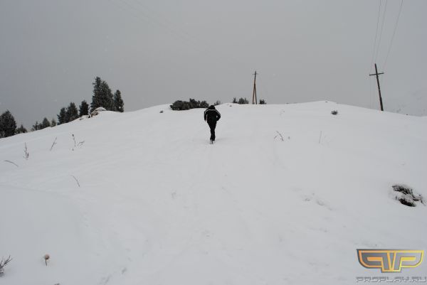 Starix ������ �� �������