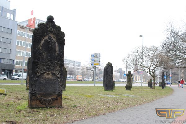 ���� ���������