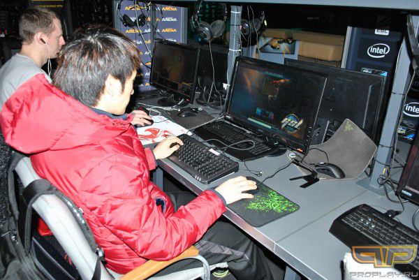 MMA �������������