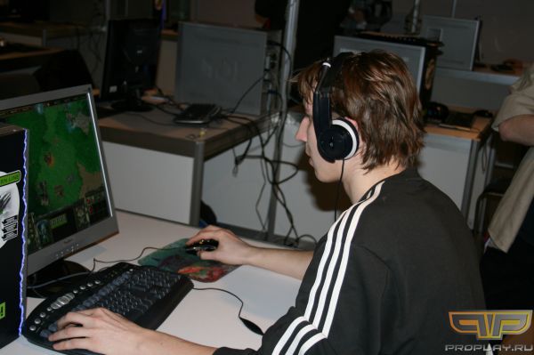 Ginsash � ����