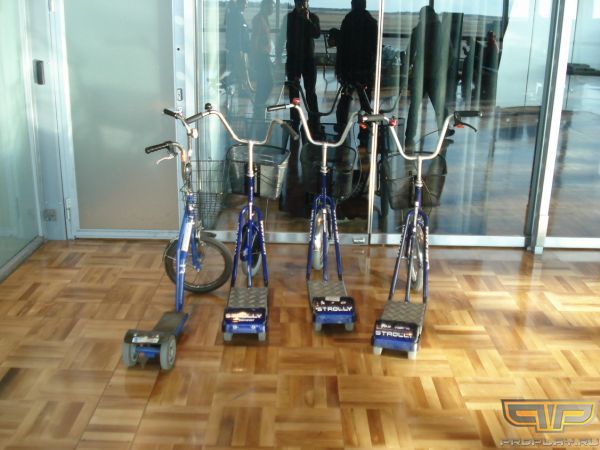 ������ ��������, ���� ���� ��� ���������