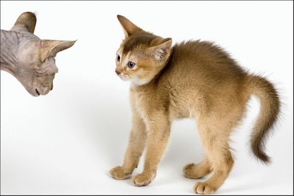 [�� �������]