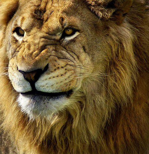 �������� ��������8